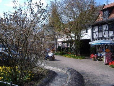 Hofheim
