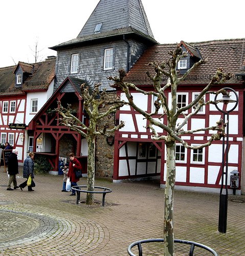 Ferienwohnung in Hofheim am Taunus